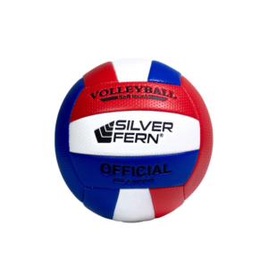 VOLLEYBALL SILVER FERN SOFT TOUCH