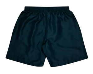 AP SHORT PONGEE 1602/3602