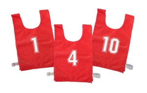 BIB SET – NUMBERED 1-10 SILVER FERN (10)